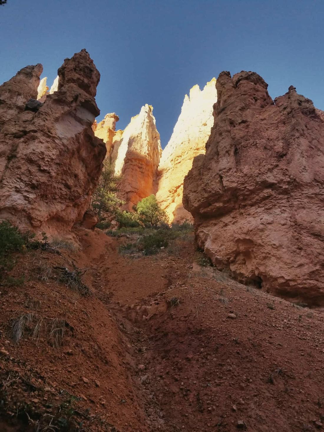 Red rock spires lit gold against a blue sky